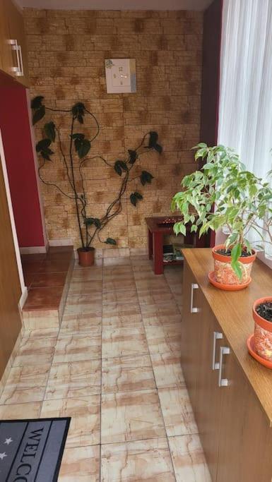Casa In Oradea ! Villa Exterior foto
